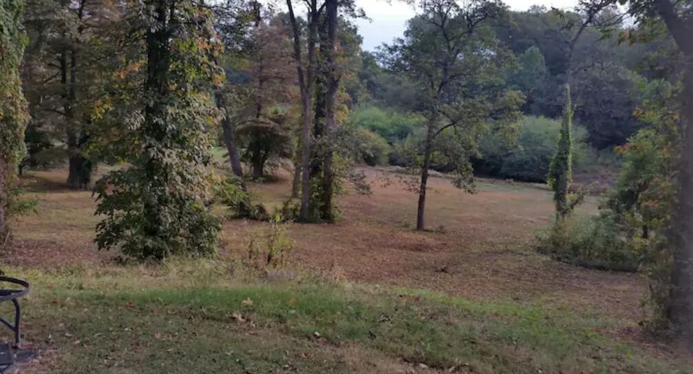 A natural outdoor area with trees and a grassy field.