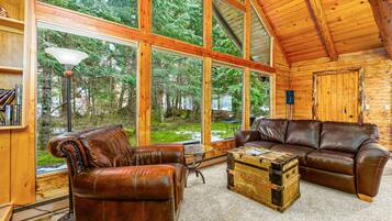 TV, fireplace, DVD player, books