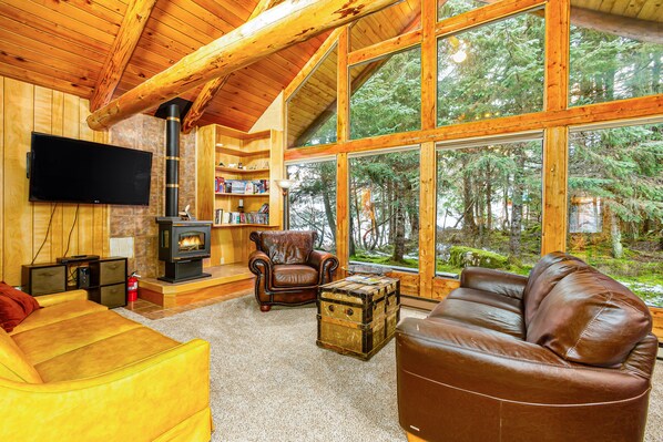 TV, fireplace, DVD player, books - Rustic mountain cabin with wood stove, spacious deck, private W/D (Girdwood)