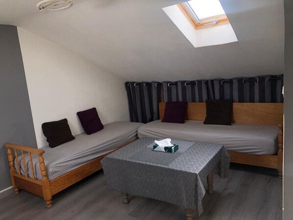 A small, cozy room with a loft bed, a sofa, and a table.