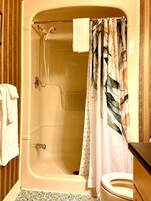 Traditional Room (The Vintage Room) | Bathroom