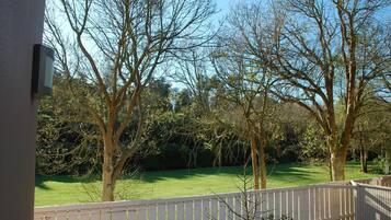 Standard Studio | View from room