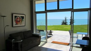 Älytelevisio, DVD-soitin