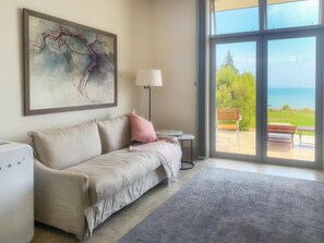 Älytelevisio, DVD-soitin