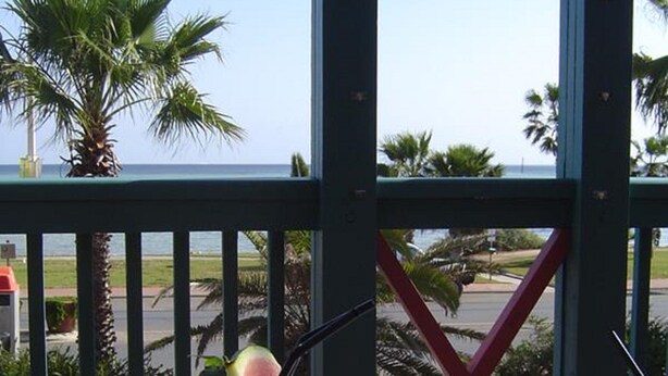 A glass of green cocktail with a straw and a slice of fruit on a metal table with a view of the ocean and palm trees. - Heritage Resort Shark Bay (Denham)