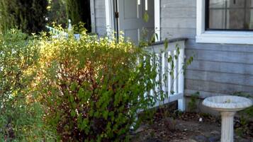 Vista dalla struttura