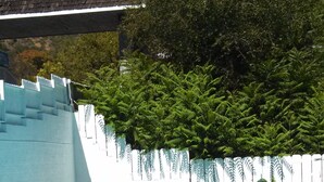 Piscina com cerca branca e vegetação verde ao fundo.
