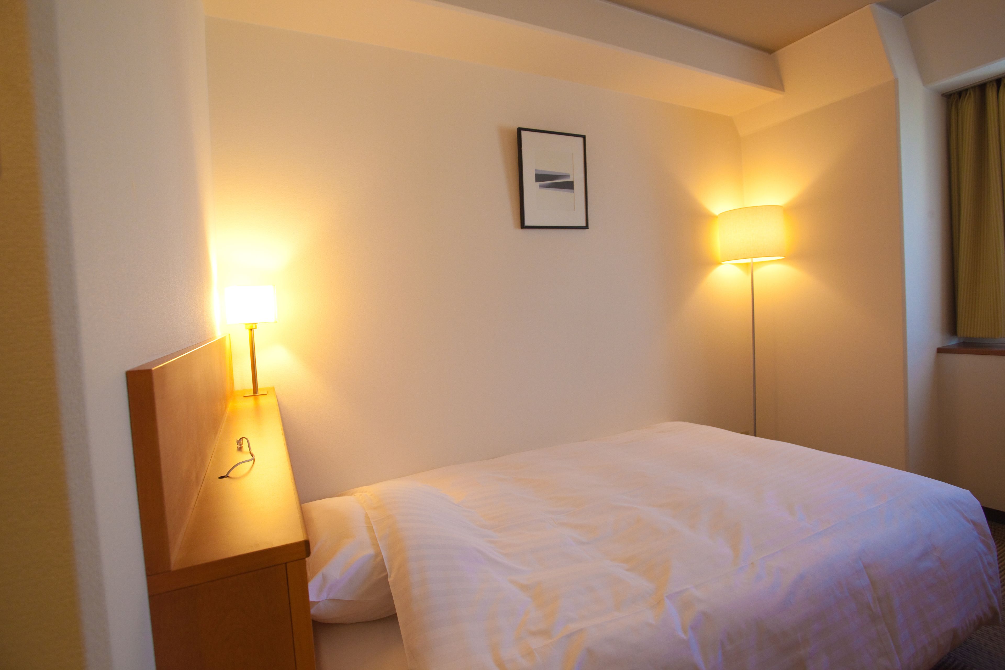 single room, non smoking | in-room safe, desk, iron/ironing board, free wifi