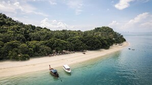 A beach with boats, a sandy shore, and dense forest.
