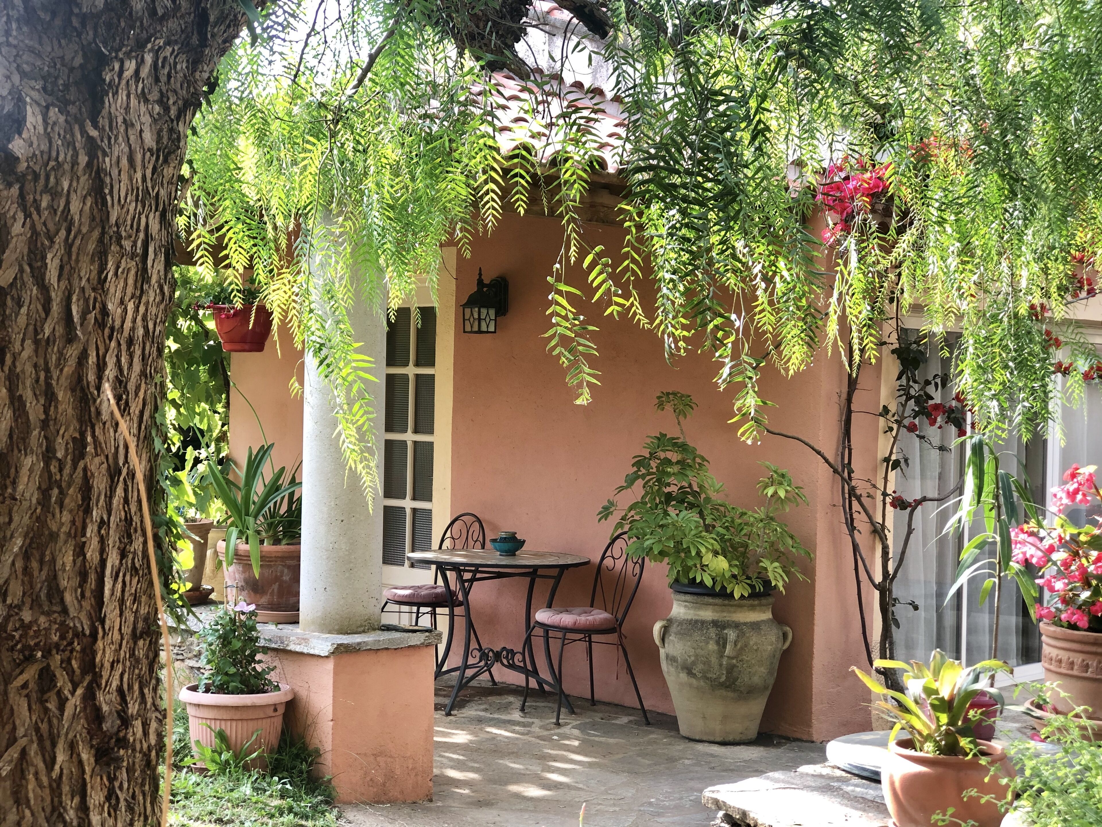 Estudio Confort, Terraza | Terraza o patio