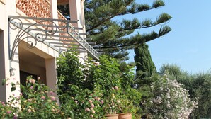 A building with a balcony, potted plants, and a clear blue sky. - Résidence Le Clos des Oliviers (Sorbo-Ocagnano)