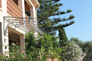 Exterior - Résidence Le Clos des Oliviers (Sorbo-Ocagnano)