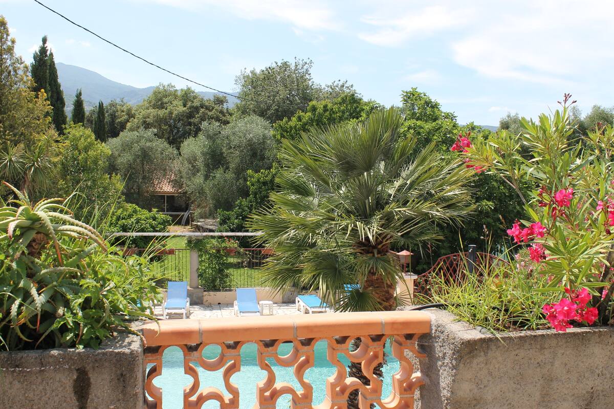 A balcony with a pool, surrounded by lush greenery and a mountain in the background.