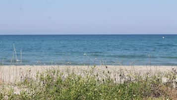 Ranta