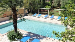 A swimming pool with lounge chairs and a palm tree. - Résidence Le Clos des Oliviers (Sorbo-Ocagnano)