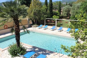 Una piscina con sillas de descanso y una palmera.