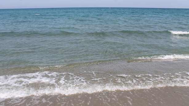 A beach with clear water and gentle waves. - Résidence Le Clos des Oliviers (Sorbo-Ocagnano)