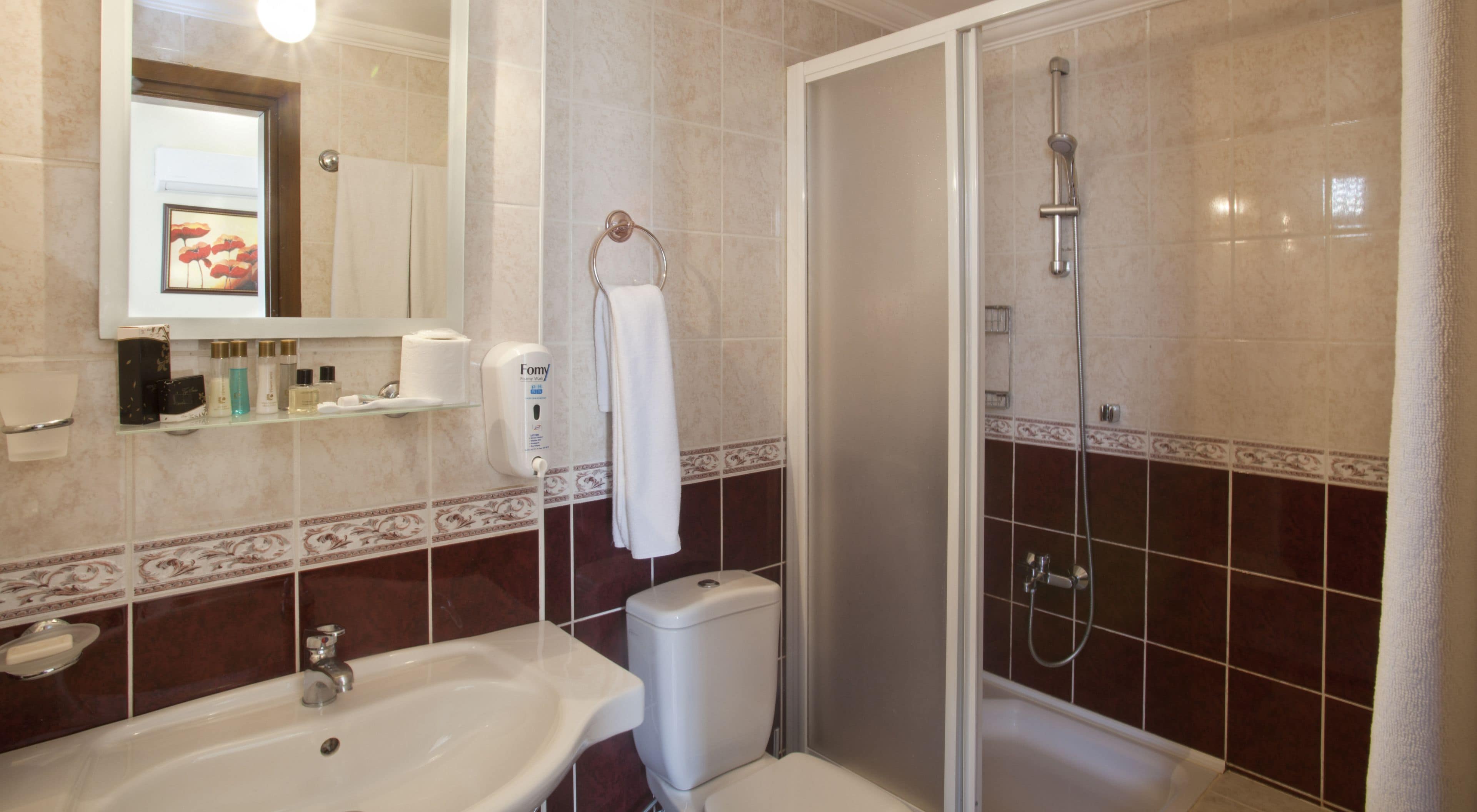 shower, free toiletries, hair dryer, slippers