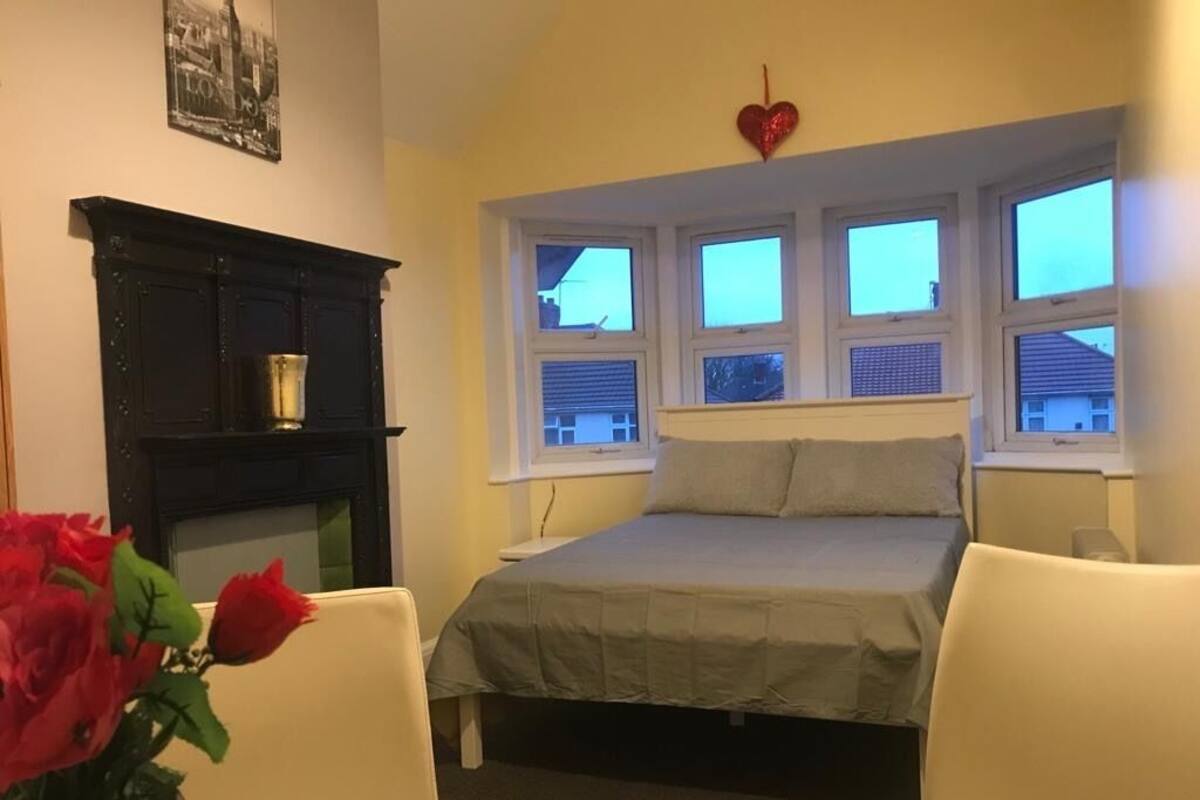 A bedroom with a bed, a fireplace, and a window with a view.