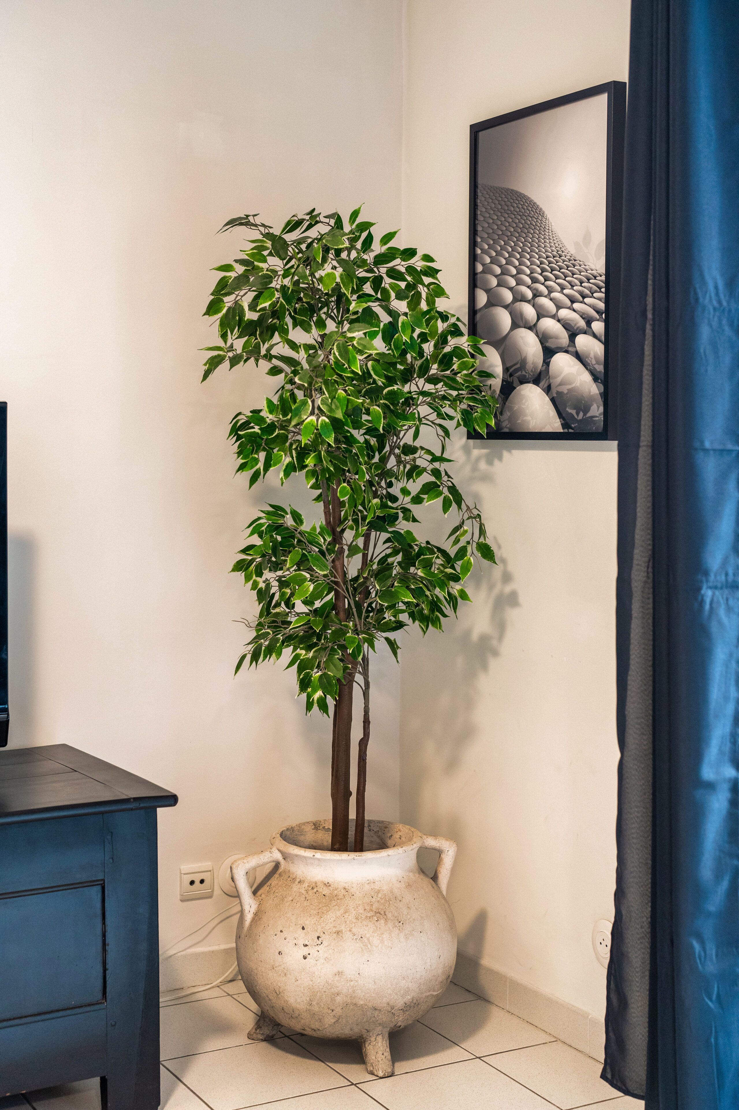 apartment | living area | flat-screen tv