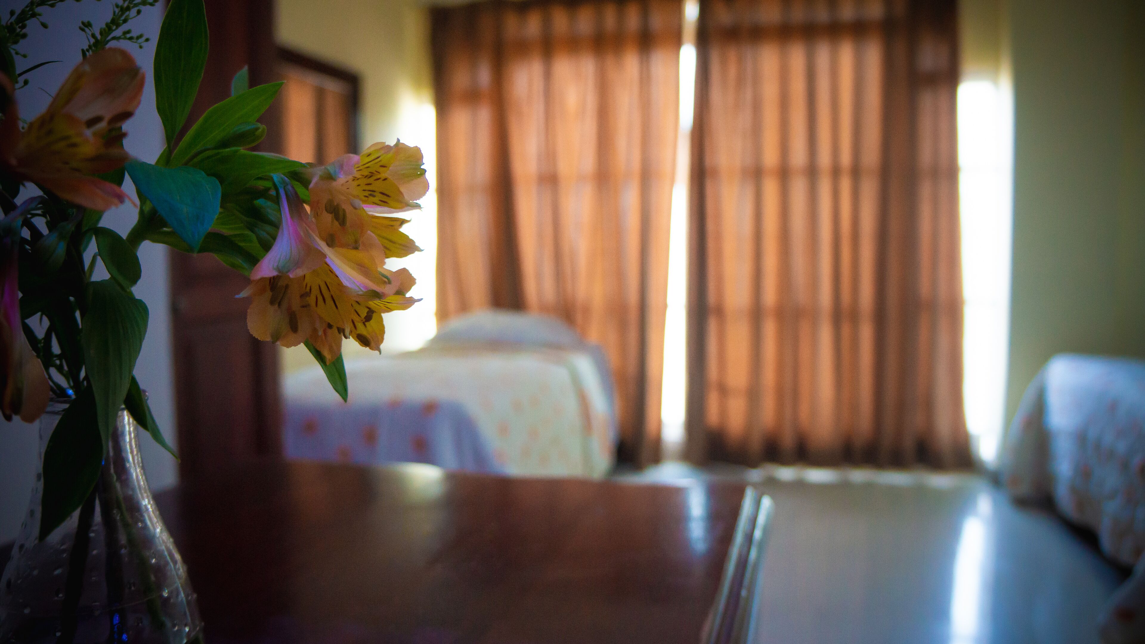 Foto - Hotel Luis V Santo Domingo