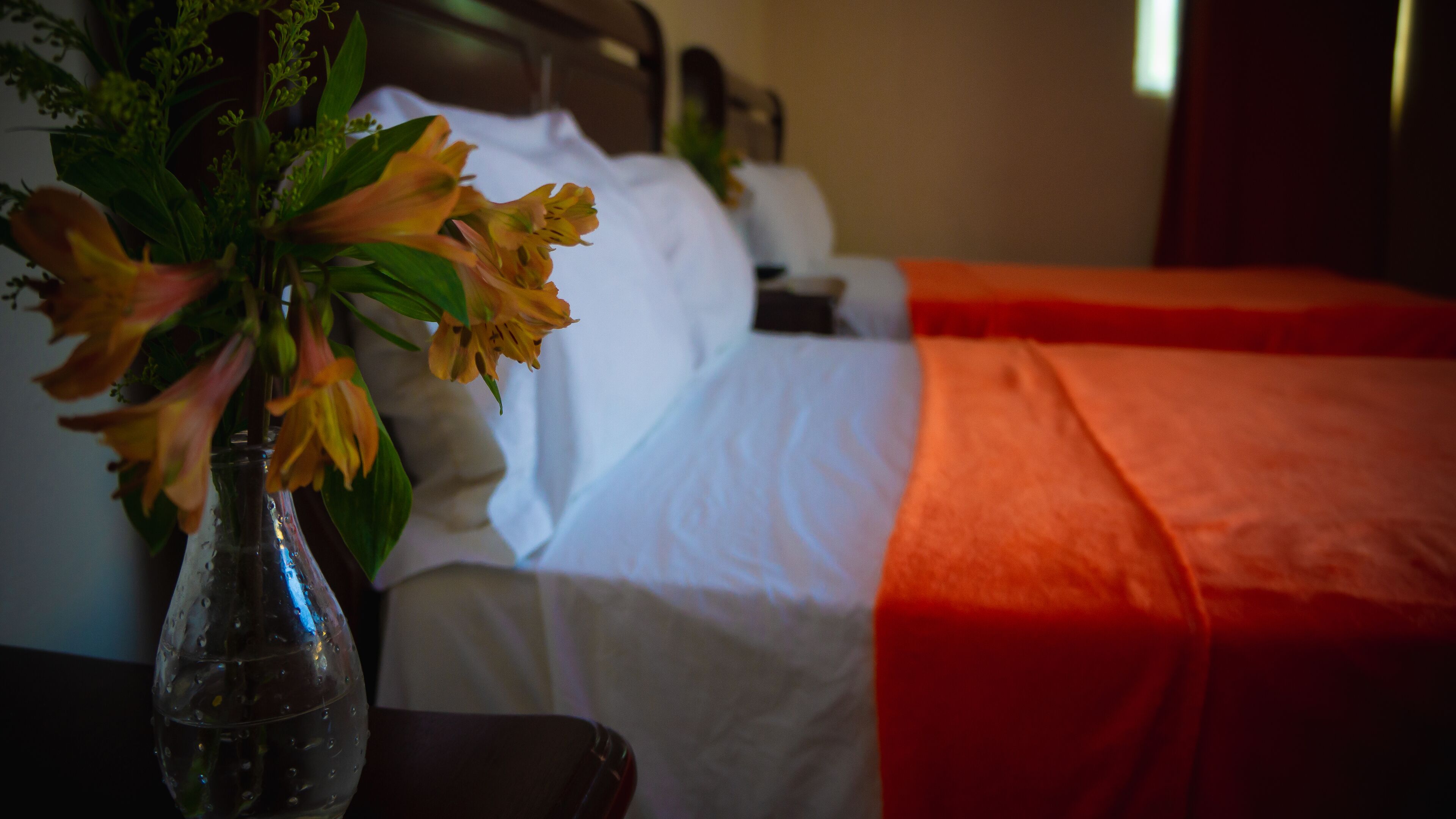 Foto - Hotel Luis V Santo Domingo