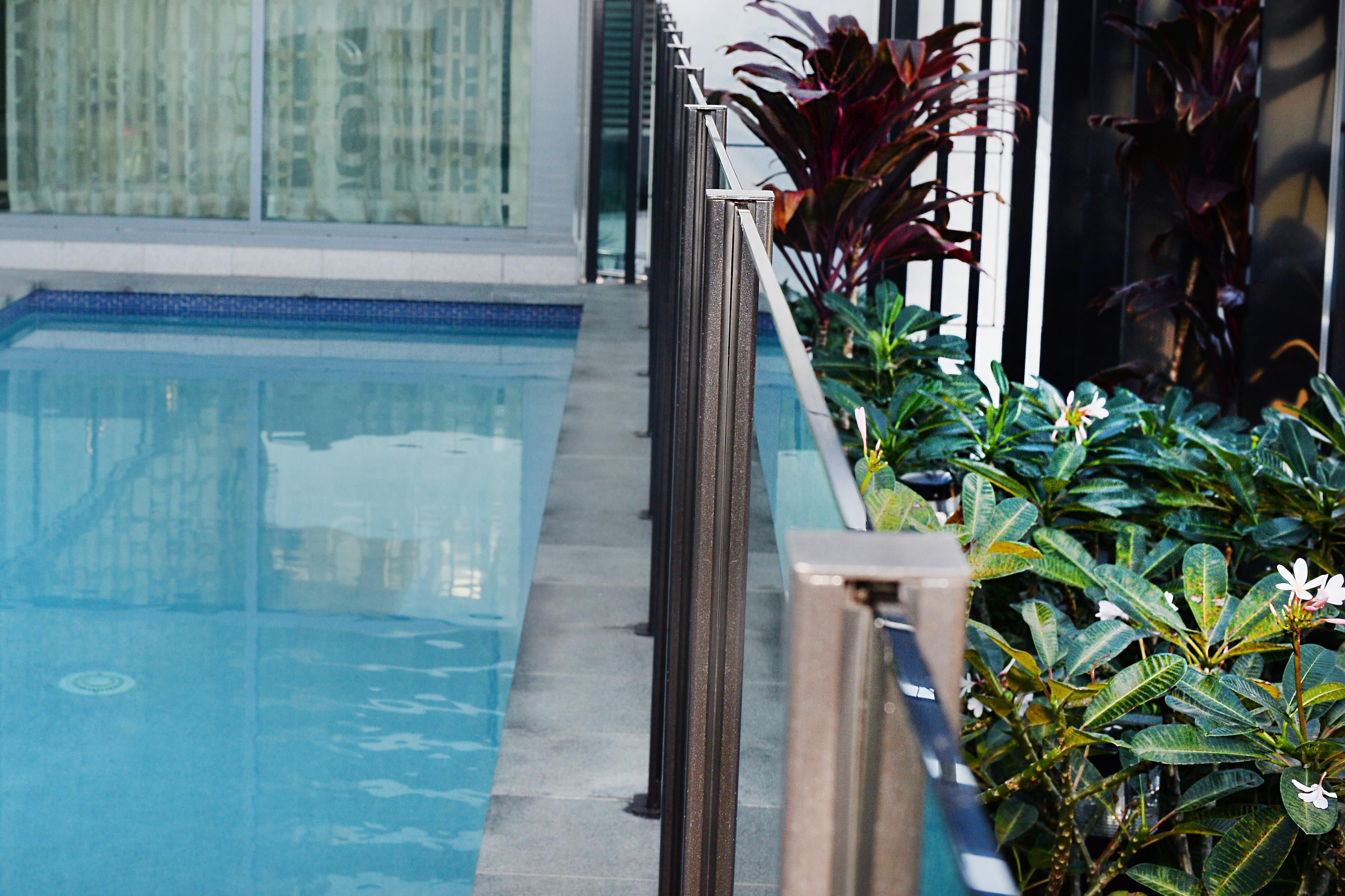 Ein Schwimmbecken mit Glasbarriere und Blumentöpfen.