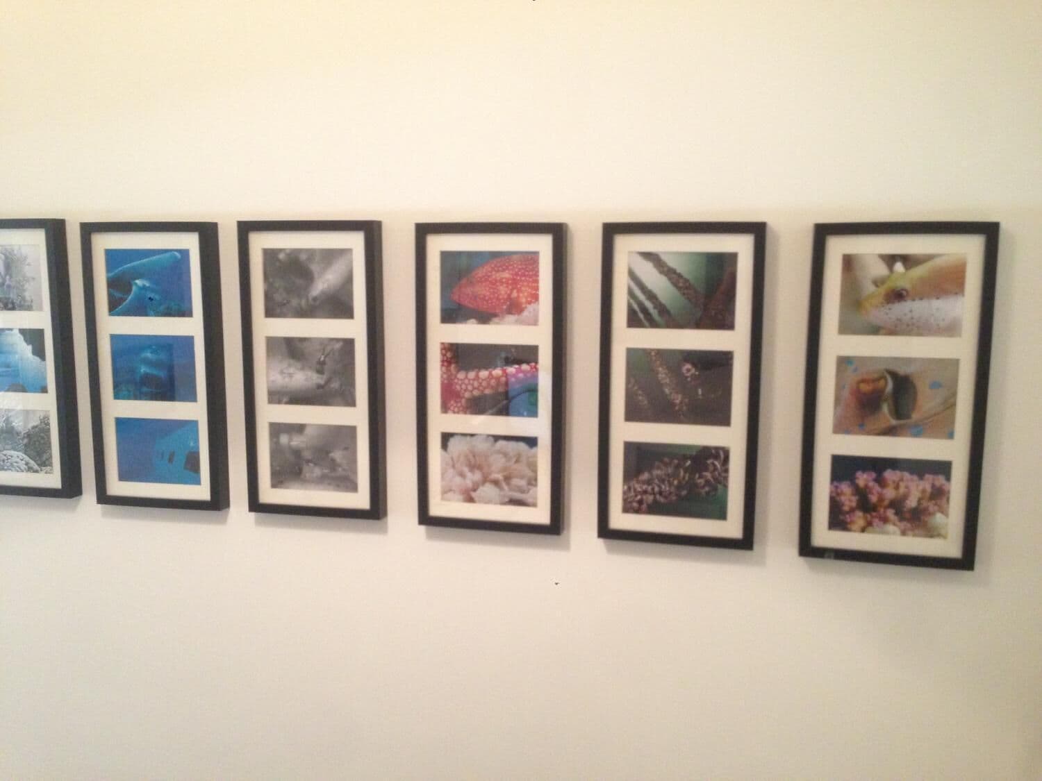 Foto - Domus Municipio