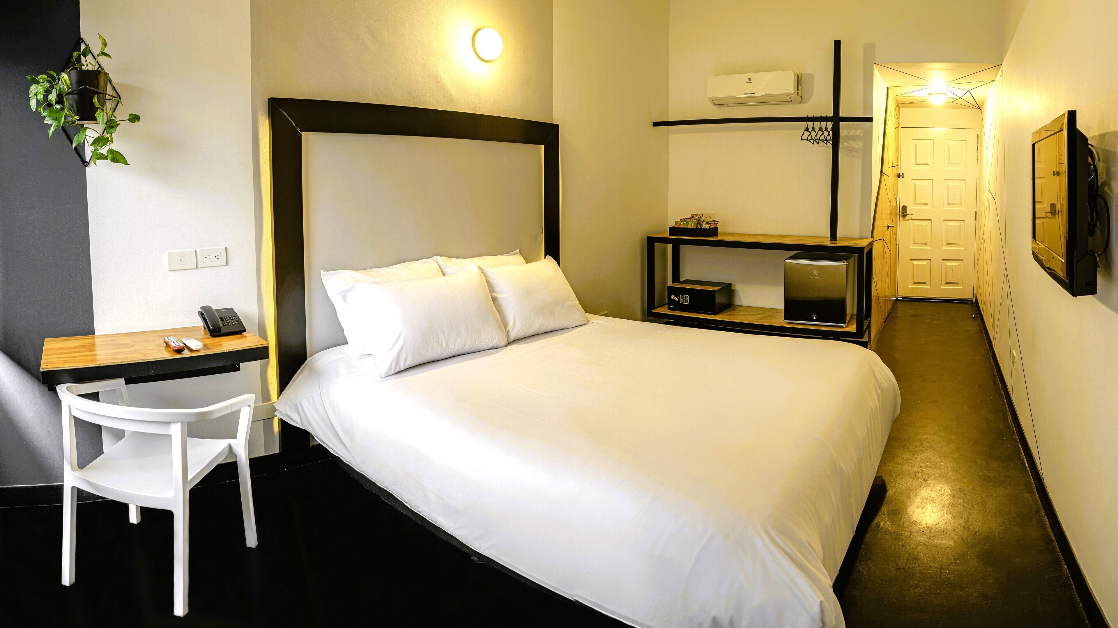 A hotel room with a bed, a desk, a chair, a TV, and a plant.
