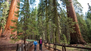 Hiking