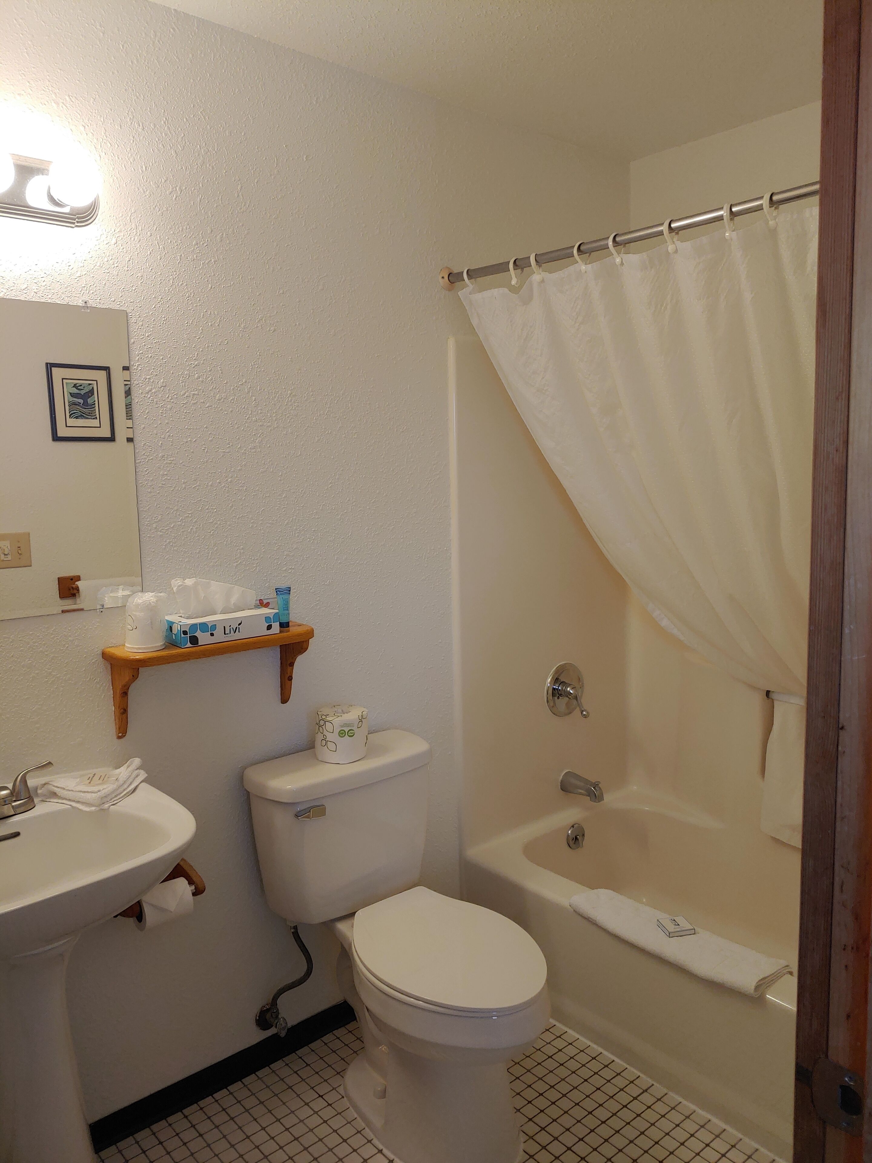 Ein Badezimmer mit Toilette, Waschbecken und Badewanne. Ein Regal mit Pflegeprodukten und ein gerahmtes Bild sind an der Wand angebracht.