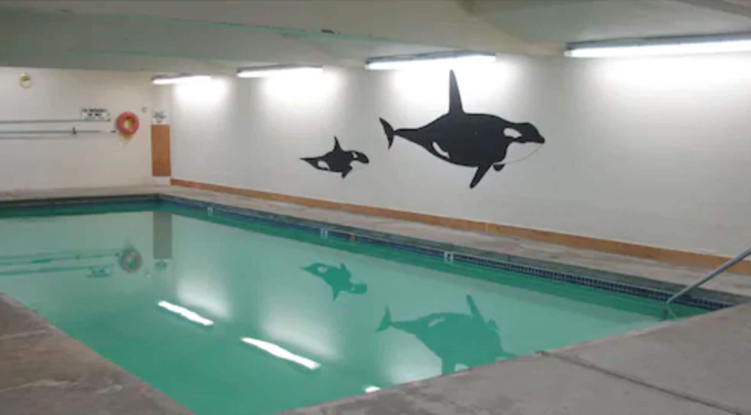 Indoor pool, sun loungers