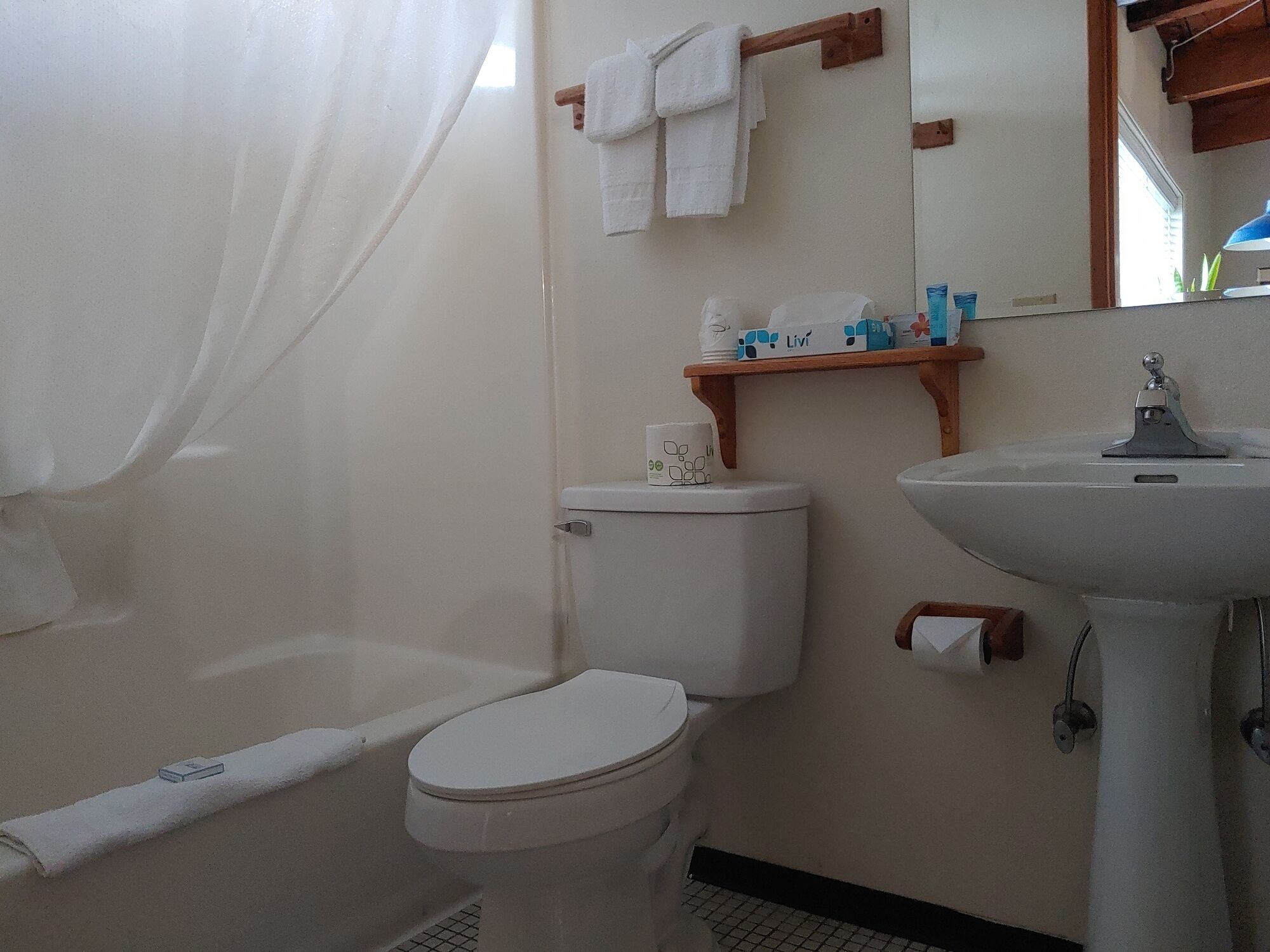A bathroom with a toilet, a sink, a shower curtain, and a shelf with toiletries.