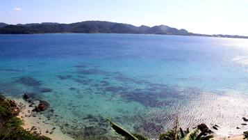 Habitación con 2 camas individuales | Vista desde la habitación
