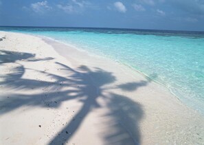 Playa