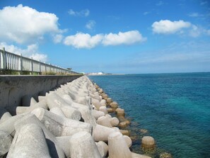Un mur de protection en béton, bordé d’une rangée de gros blocs de pierre arrondis qui s’étendent dans l’eau, une clôture métallique sur la gauche et un ciel bleu dégagé parsemé de nuages.