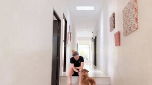 미분류 이미지, 4/31장, 버튼