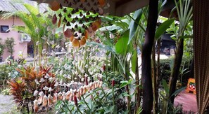 Un exuberante jardín con diversas plantas y flores colgantes.