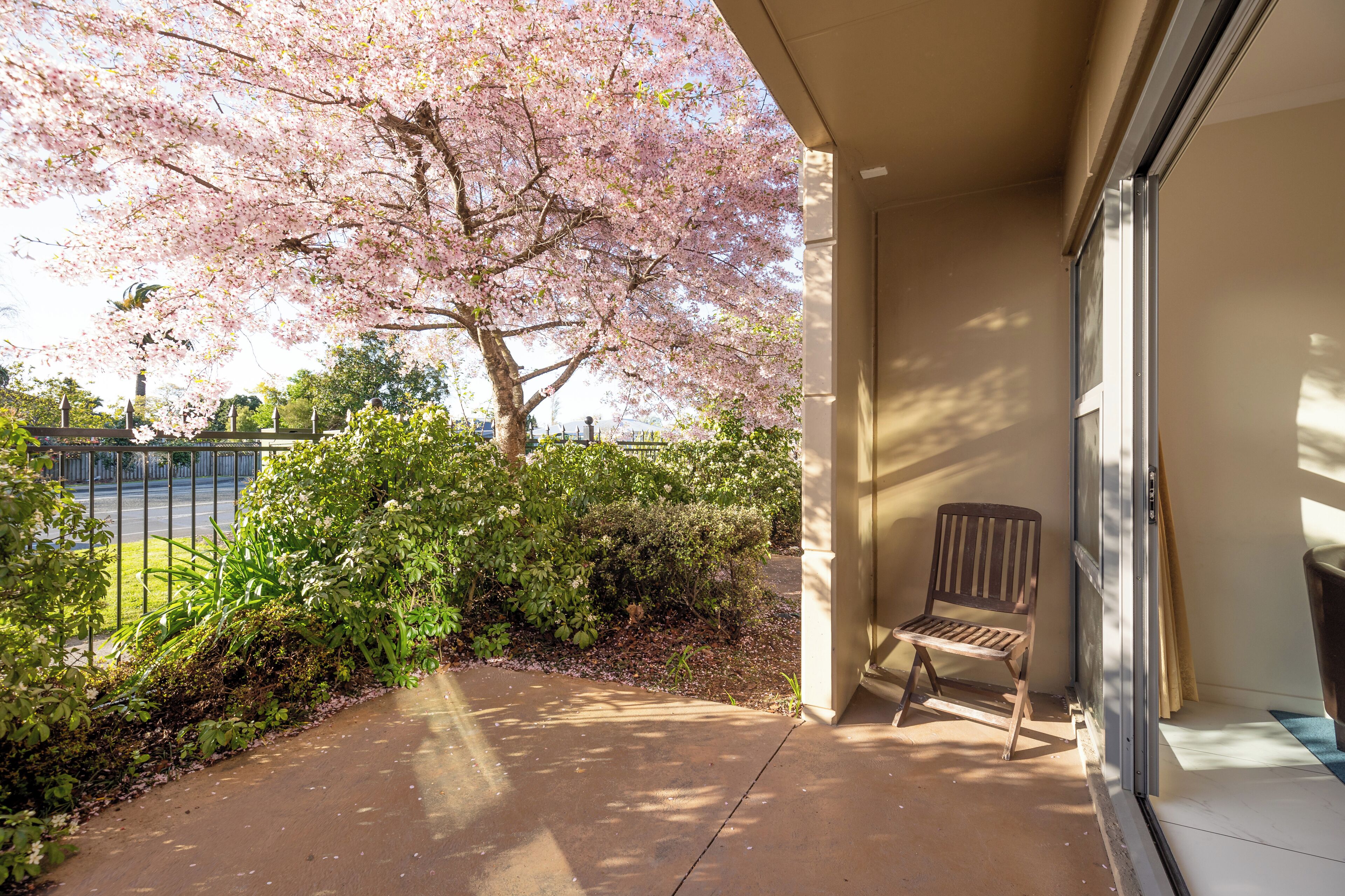 A balcony with a wooden chair, a view of a cherry blossom tree, and a tennis court in the background.