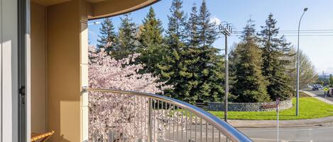A balcony with a view of cherry blossoms and a road with a roundabout.