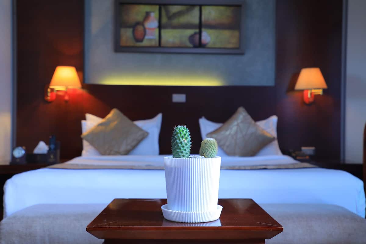 A hotel room with a bed, two wall-mounted lamps, a painting above the bed, and a potted cactus on a bedside table.