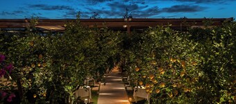 玛丽通尼亚民宿