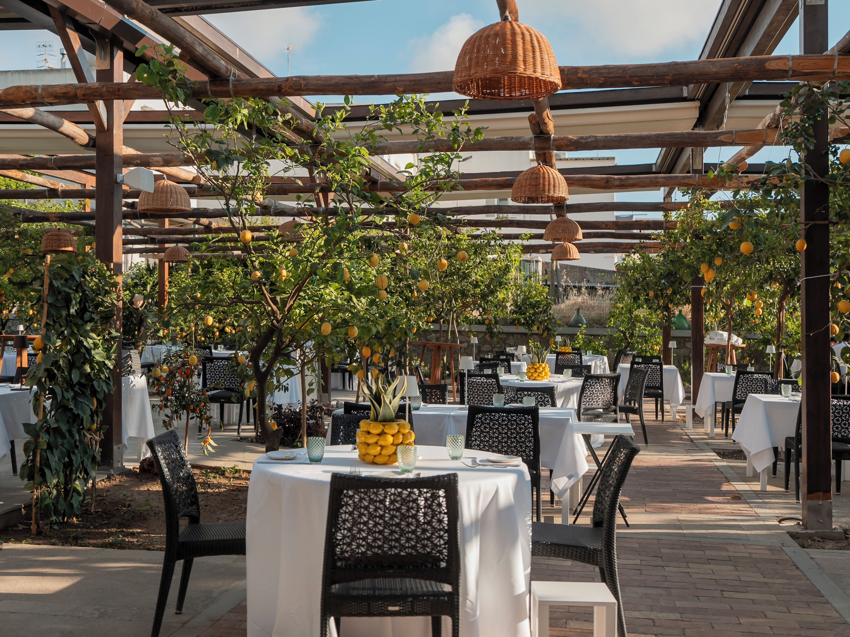 An outdoor dining area with tables and chairs, covered by a wooden pergola, and surrounded by greenery and citrus trees.