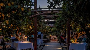 Un área de comedor al aire libre con mesas y sillas bajo una pérgola, rodeada de vegetación.
