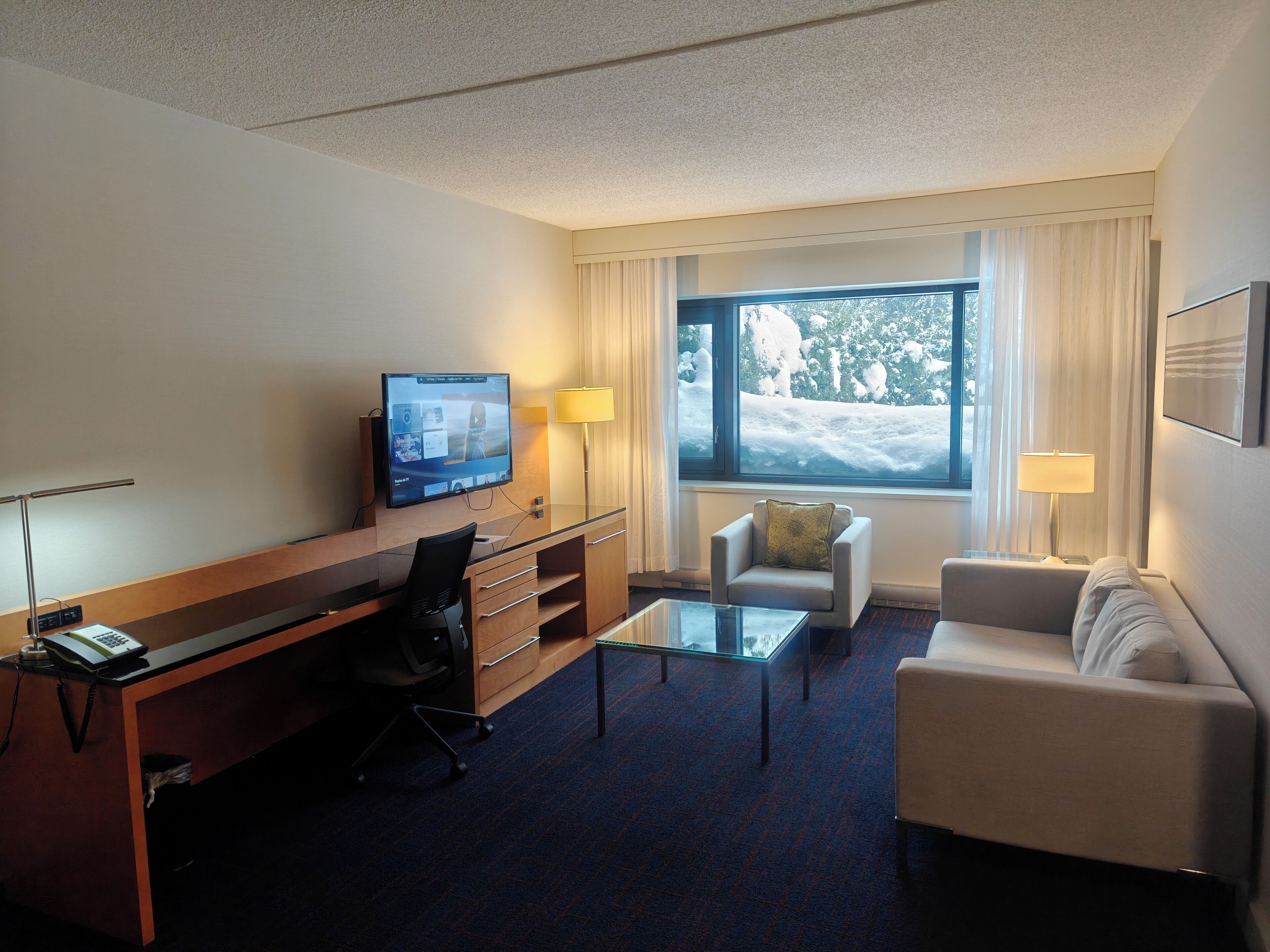 executive suite | desk, soundproofing, iron/ironing board, free wifi