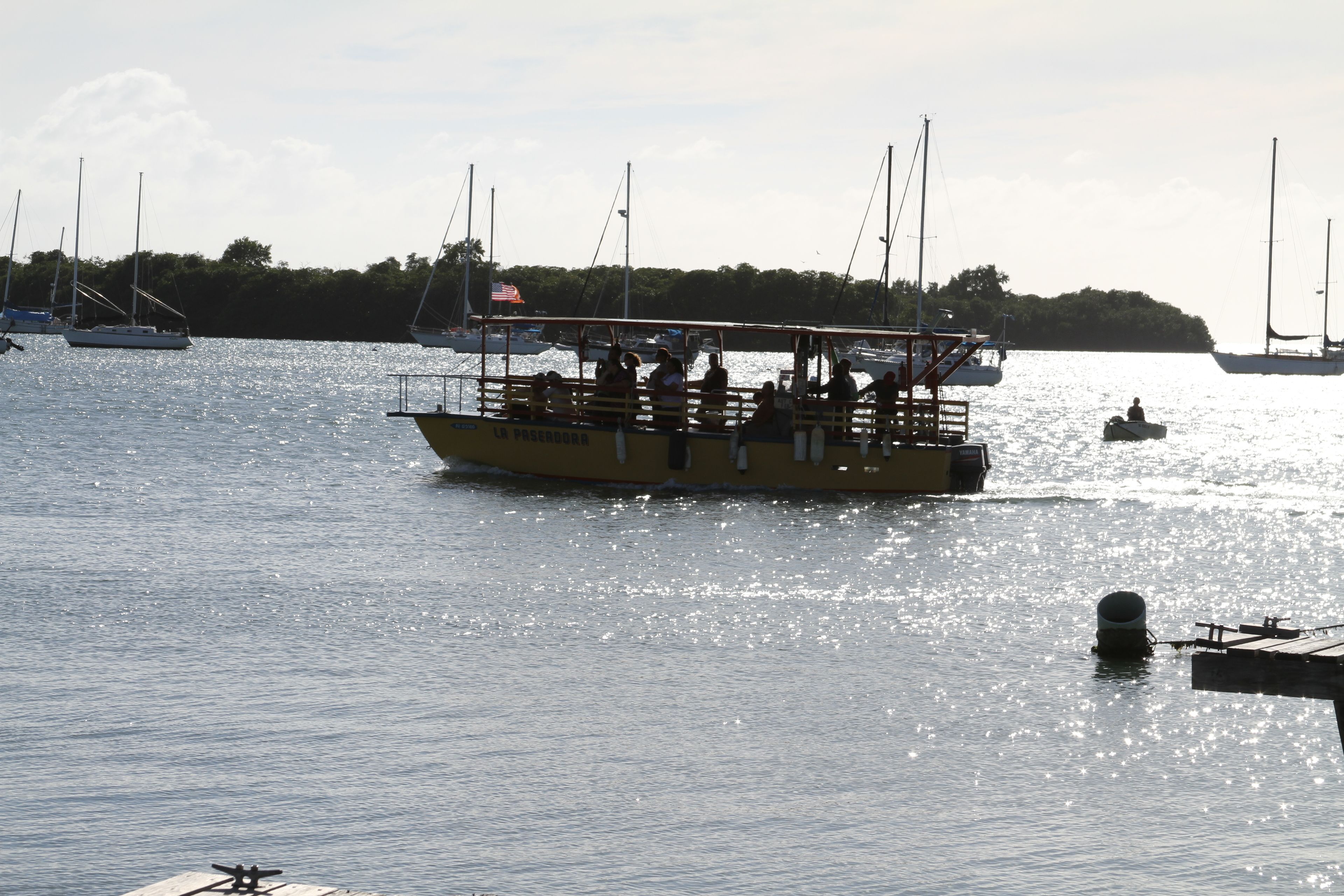 A boat with people on it, docked at a marina with other boats and a forested landmass in the background.