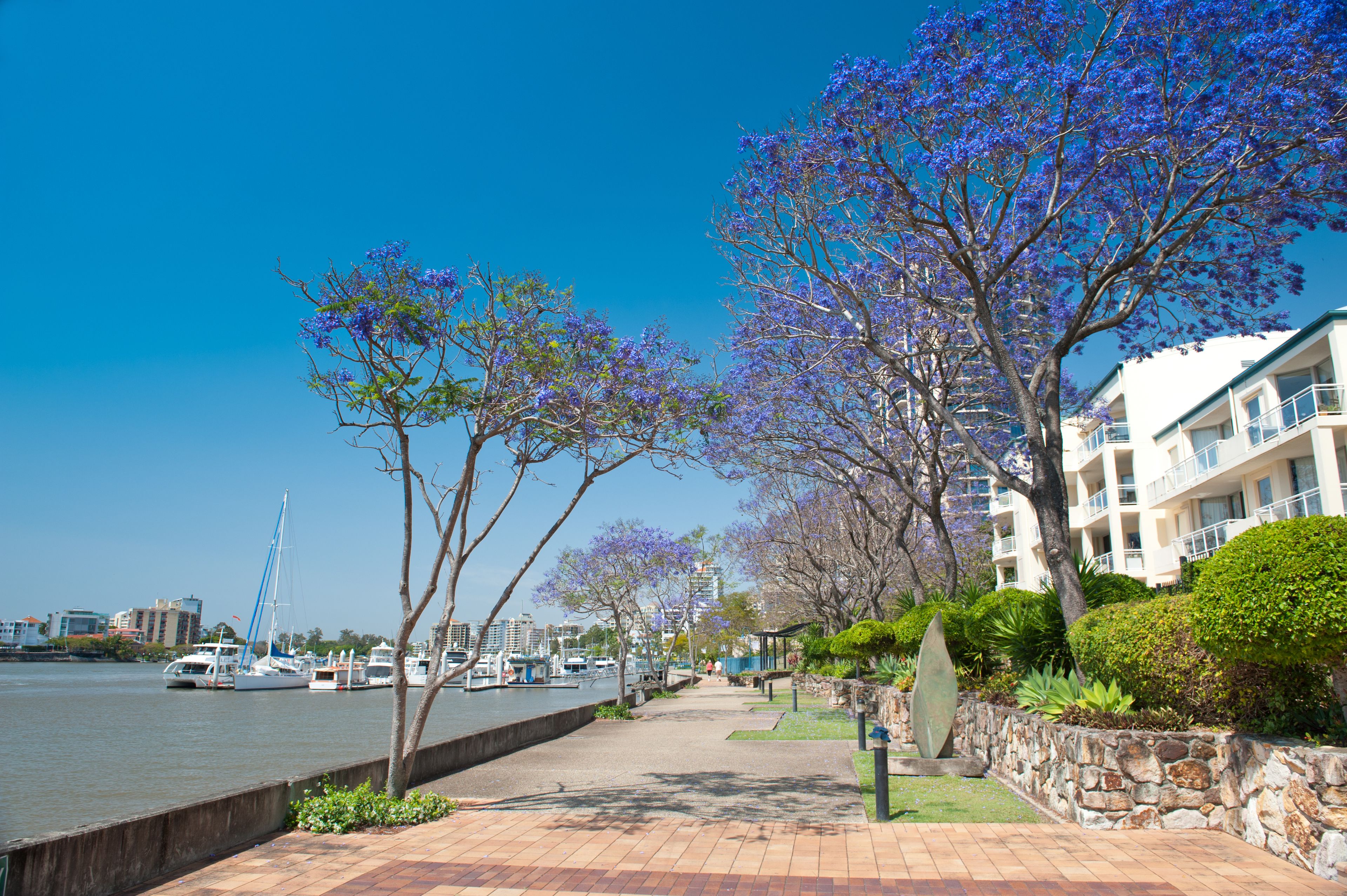 A waterfront promenade with trees, a stone wall, and a view of boats and buildings.