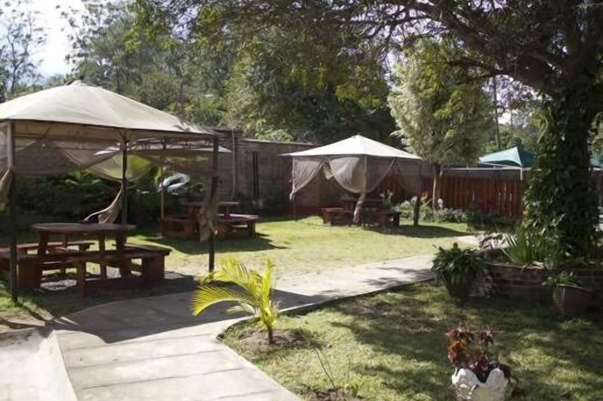 A covered outdoor area with picnic tables and a small palm tree.