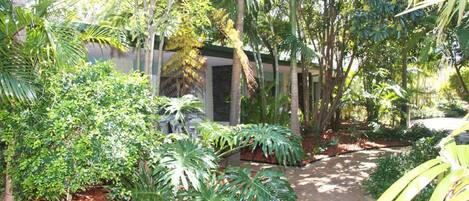Un sendero en un jardín que lleva a un edificio con entrada cubierta, rodeado de diversas plantas y árboles tropicales.