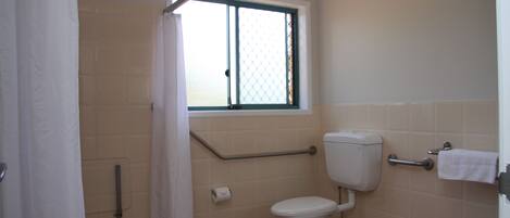 Ein Badezimmer mit Toilette, Duschvorhang, Fenster und Handlauf.